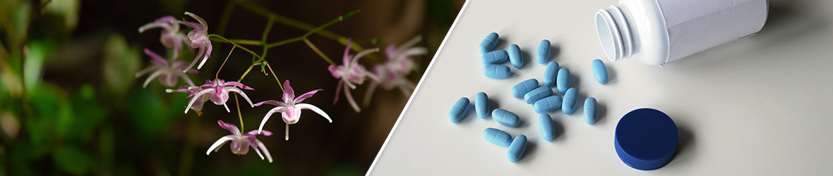 Horny Goat Weed Vs Viagra Which One Is Better