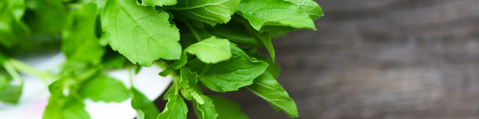 Holy Basil Benefits for Your Health Ben s Natural Health