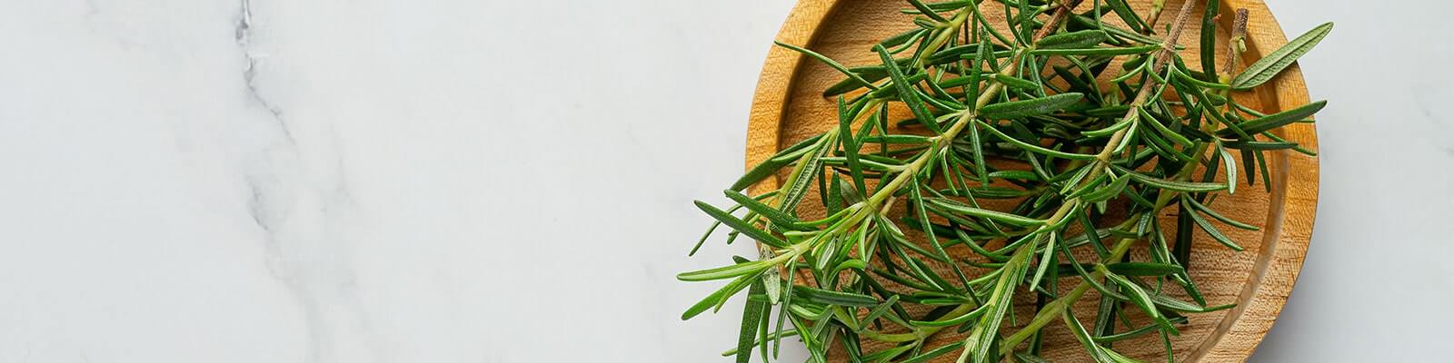 Midlife Health Benefits of Rosemary