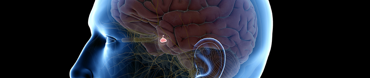 Pituitary Gland Dysfunction in Men Ben s Natural Health