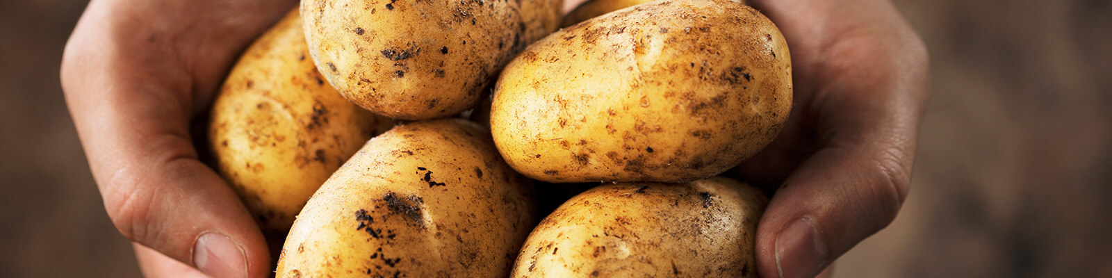 can-diabetics-eat-potatoes-studies-find-food-preparation-matters-ben