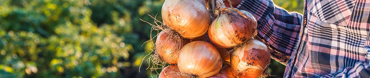 3 Benefits of Onions Sexually Ben s Natural Health