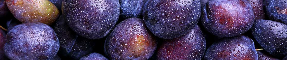 Sexual Health Benefits Of Plums And Prunes Explored Ben s