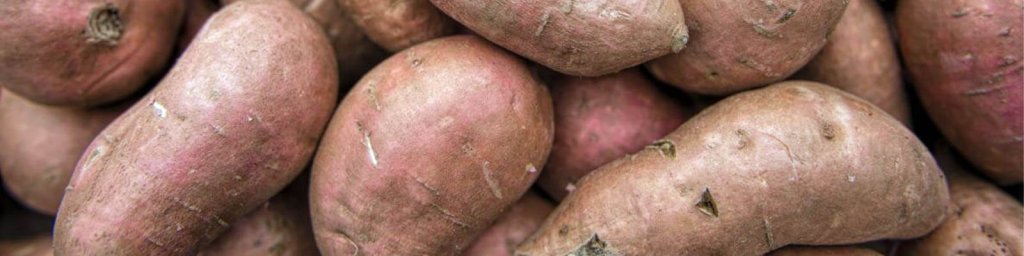 5 Benefits Of Sweet Potato Sexually For Men Women Ben s